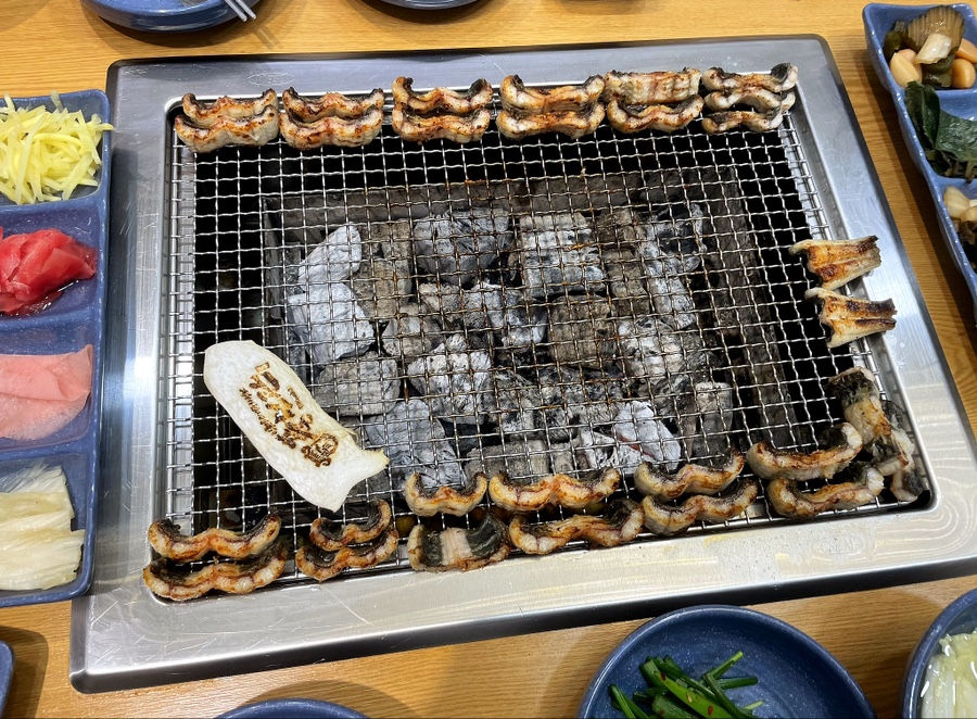 팔딱팔딱 이미지