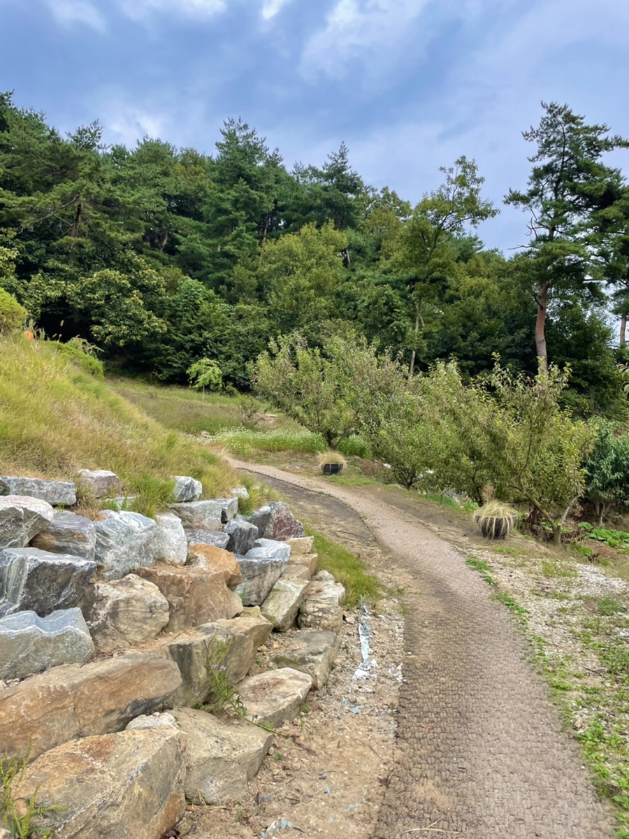 파파홈예산 이미지
