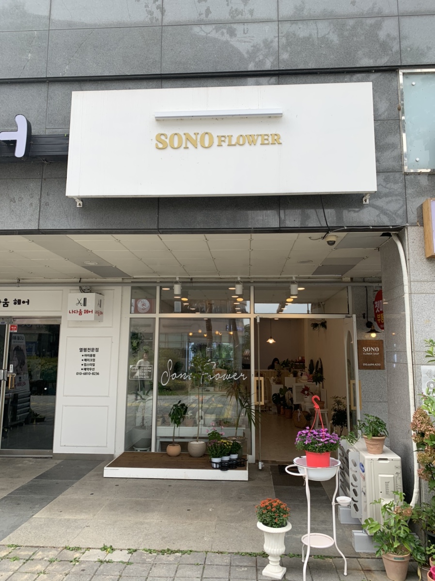 소노플라워 이미지
