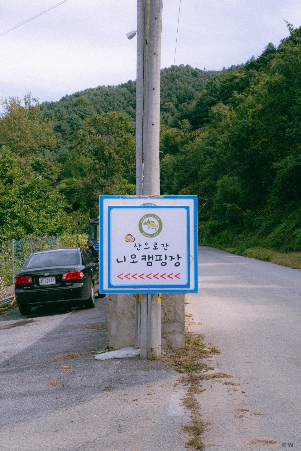 산으로간니모 이미지