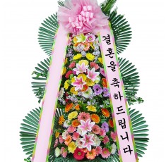타미나 이미지