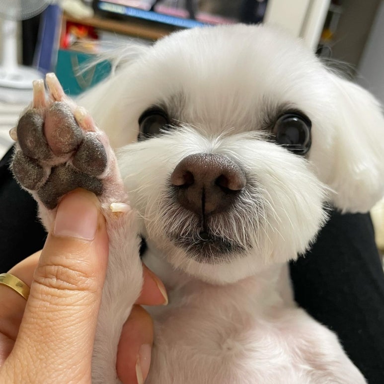 몽이미용실 이미지