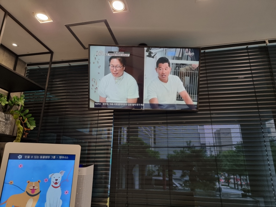 강남 SNC 동물병원 슬개골탈구 검사 비용 및 후기 — 사진 5