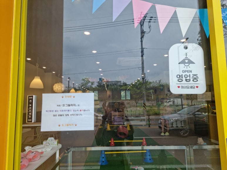 도그빌리지 이미지