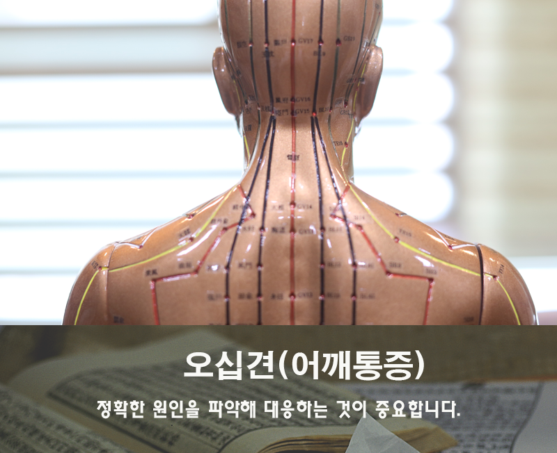 수지강한의원 이미지