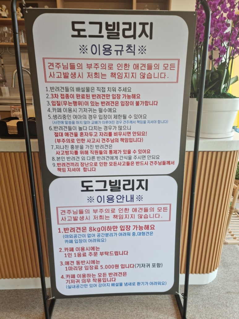 도그빌리지 이미지