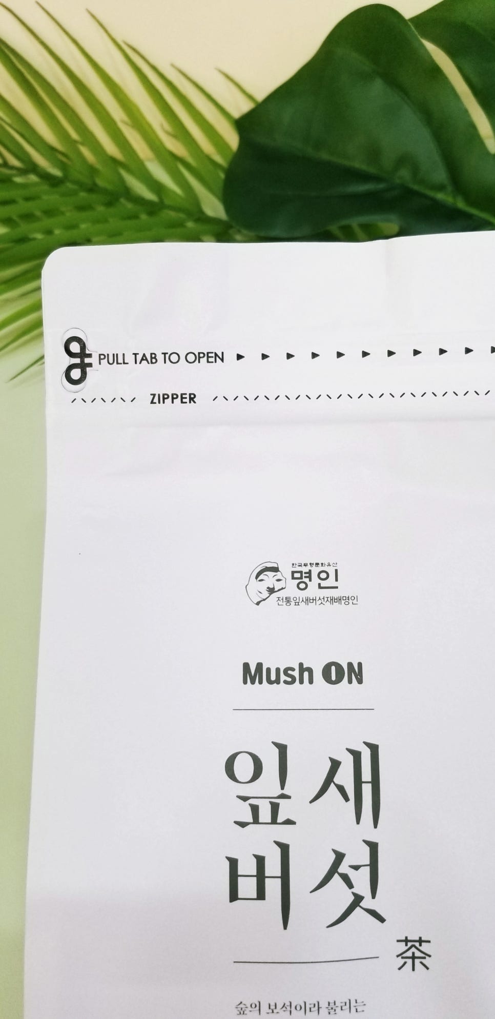 봄내다살이 이미지