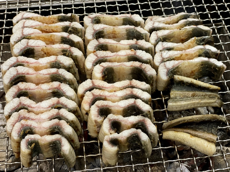 팔딱팔딱 이미지