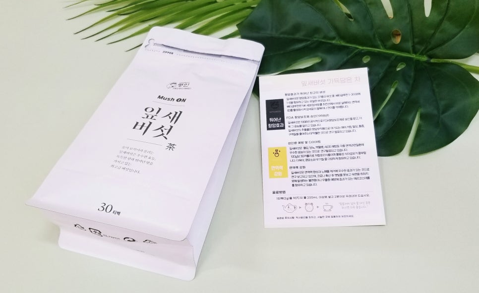 봄내다살이 이미지