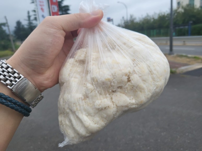 속초가마솥손두부 이미지
