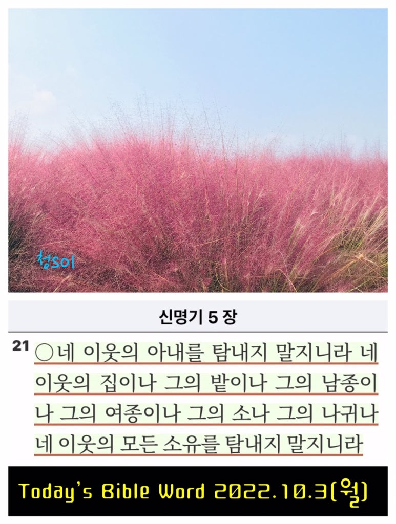 은혜농원 이미지