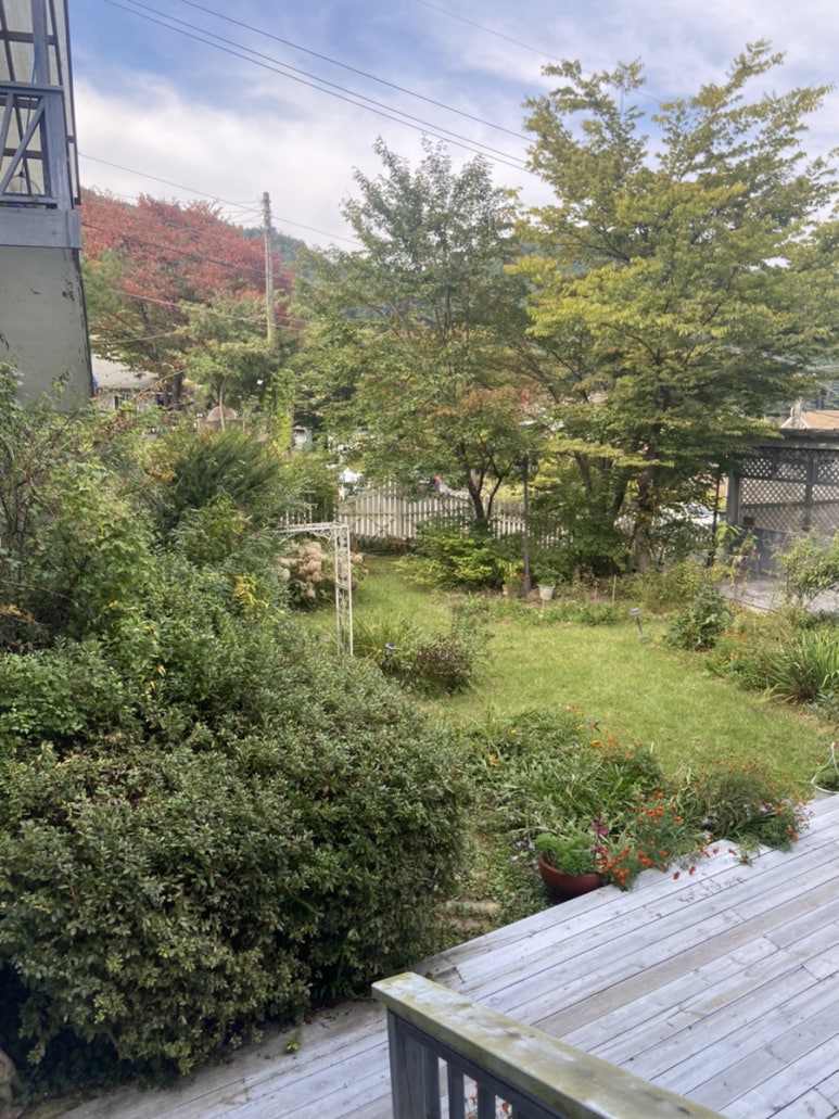 이오네스크 이미지
