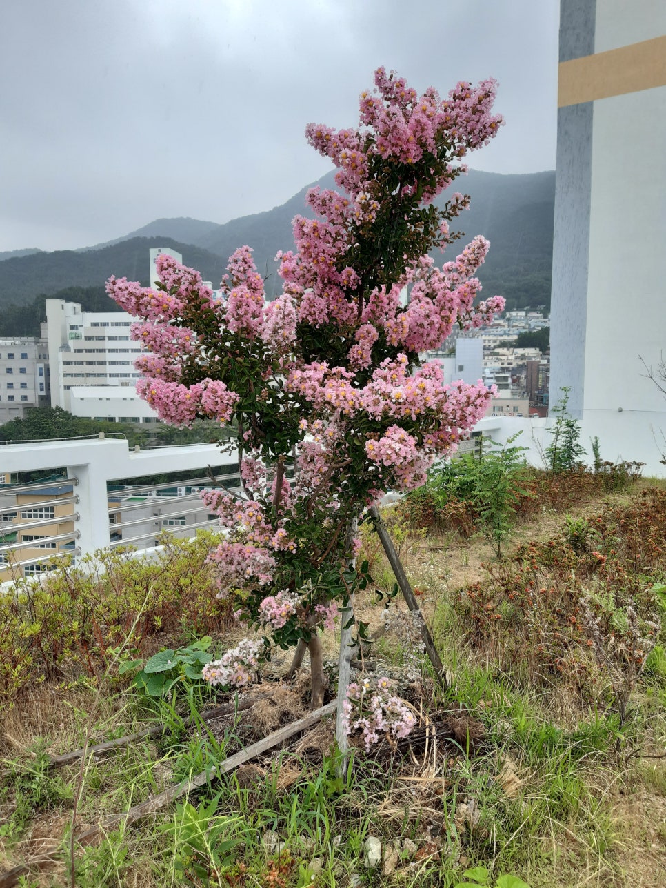 가야벽산상가 이미지