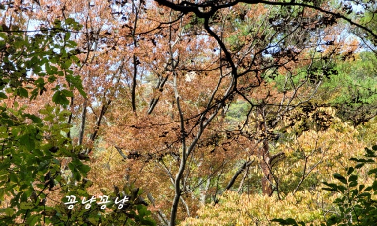 청천랜드 이미지