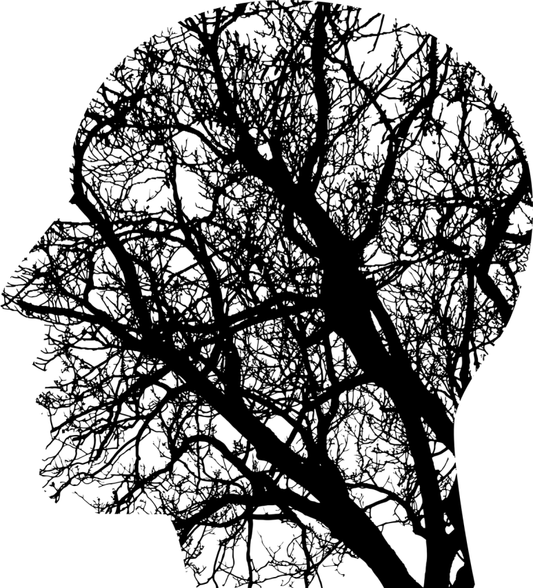 세컨브레인 이미지