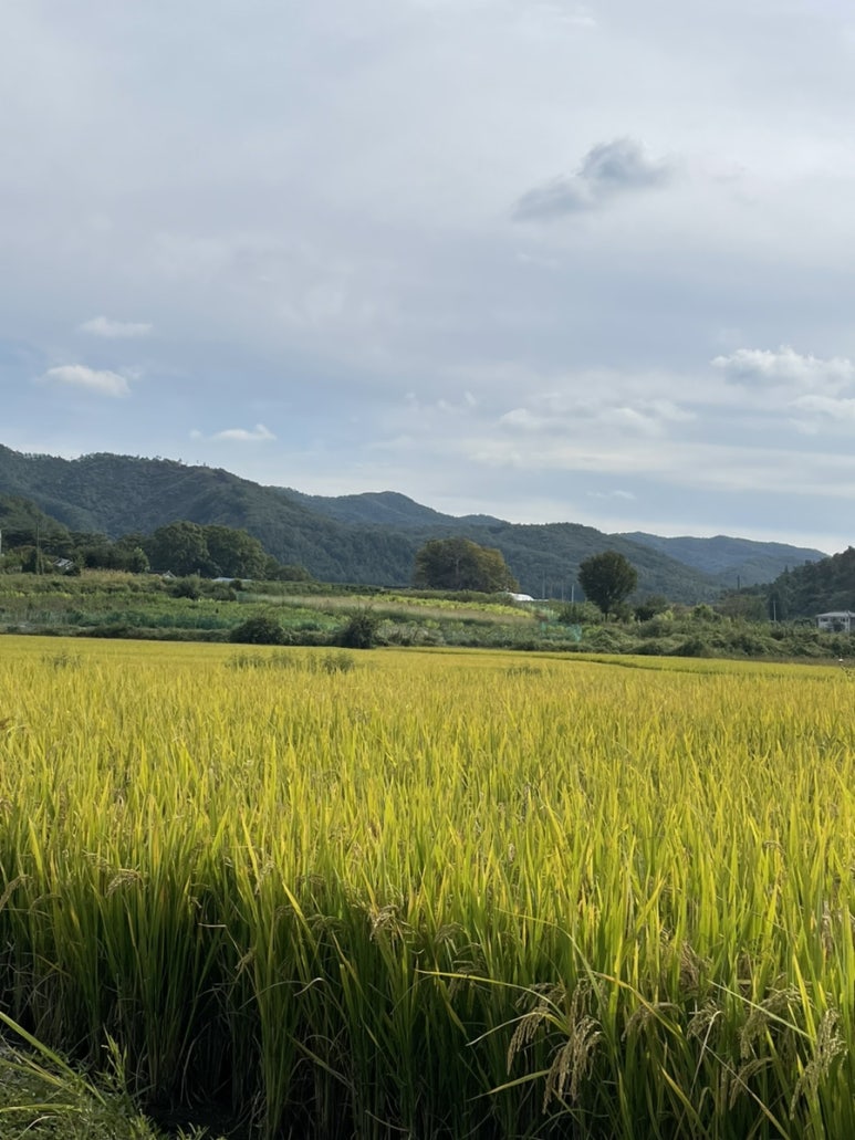 더리버에스풀빌라2 이미지