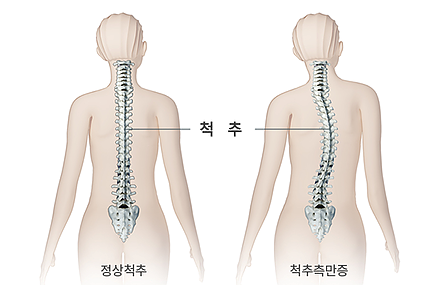 더우아 이미지