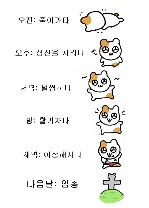 천향마라탕건대점 이미지