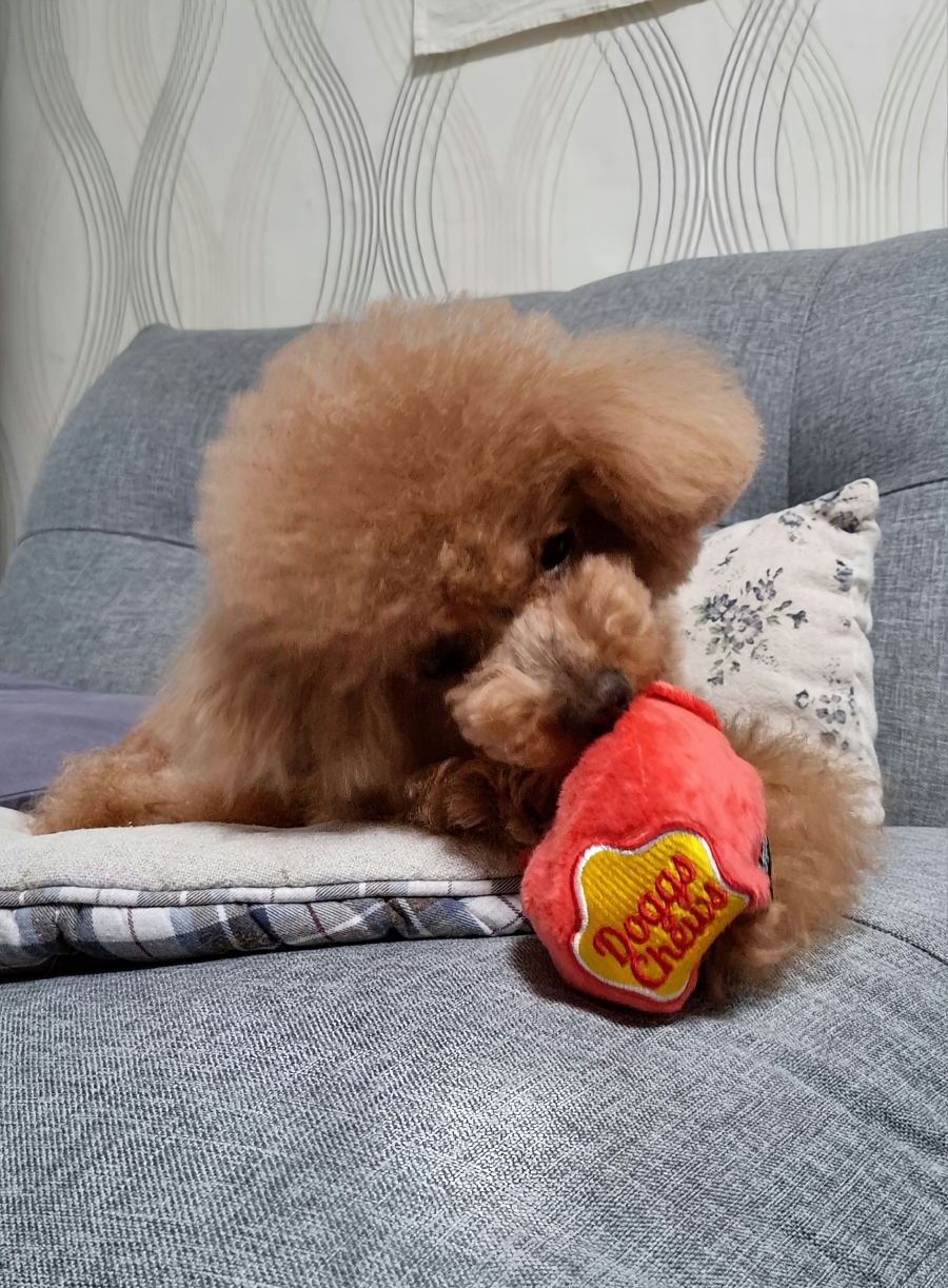 냠냠밸런스 이미지