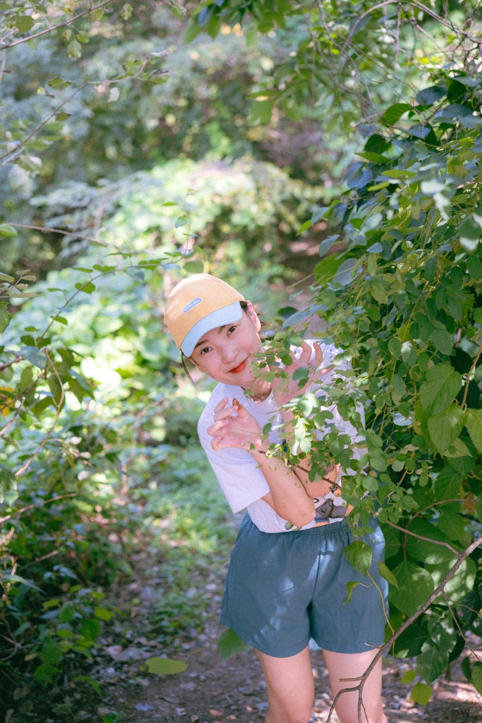 산으로간니모 이미지