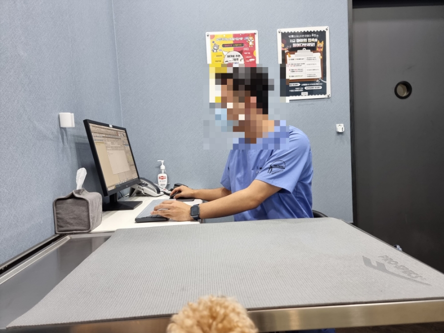 강남 SNC 동물병원 슬개골탈구 검사 비용 및 후기 — 사진 6