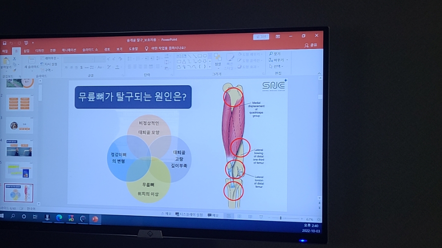 강남 SNC 동물병원 슬개골탈구 검사 비용 및 후기 — 사진 10
