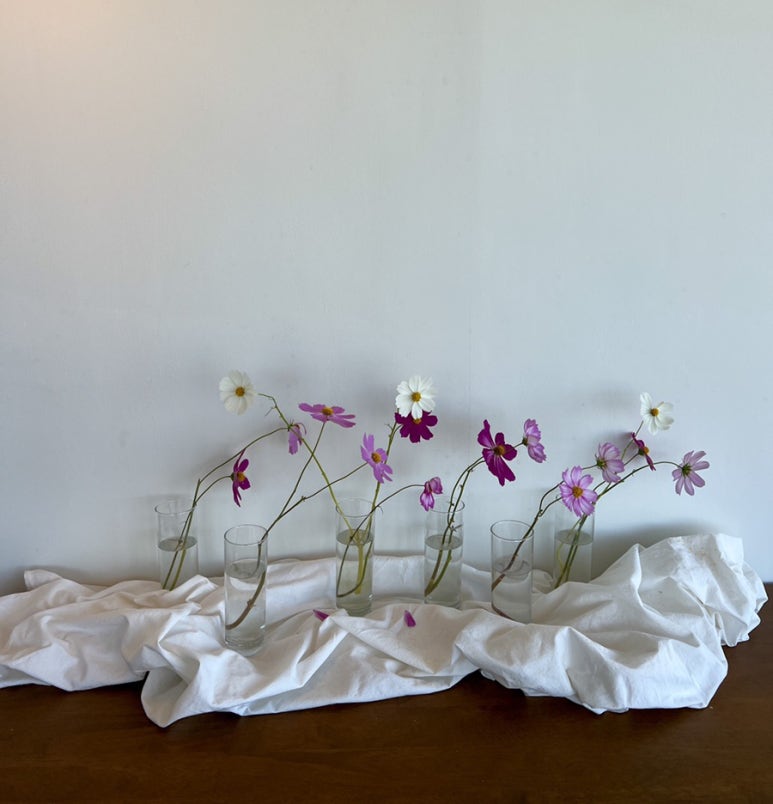 (주)시루산 이미지