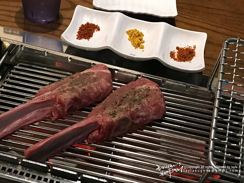 램플러스 이미지
