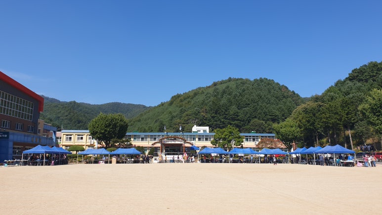 두촌초등학교 이미지