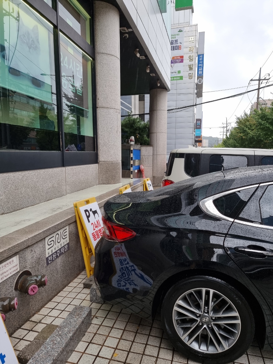 강남 SNC 동물병원 슬개골탈구 검사 비용 및 후기 — 사진 2