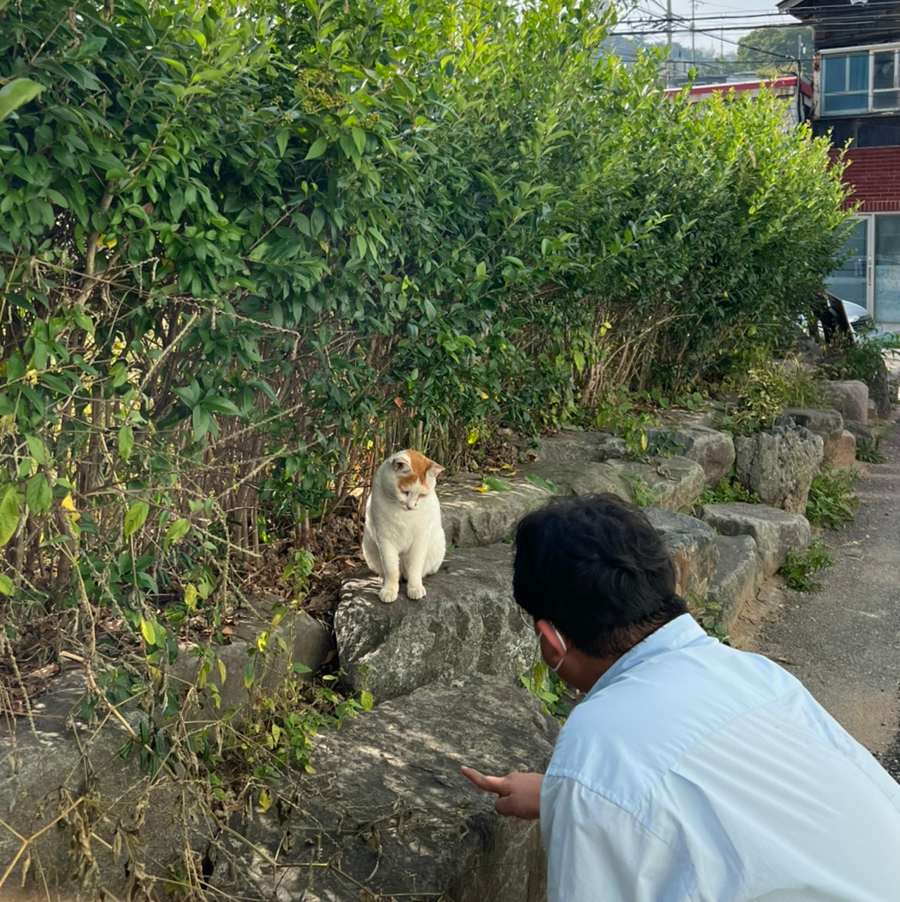 모어분식 이미지