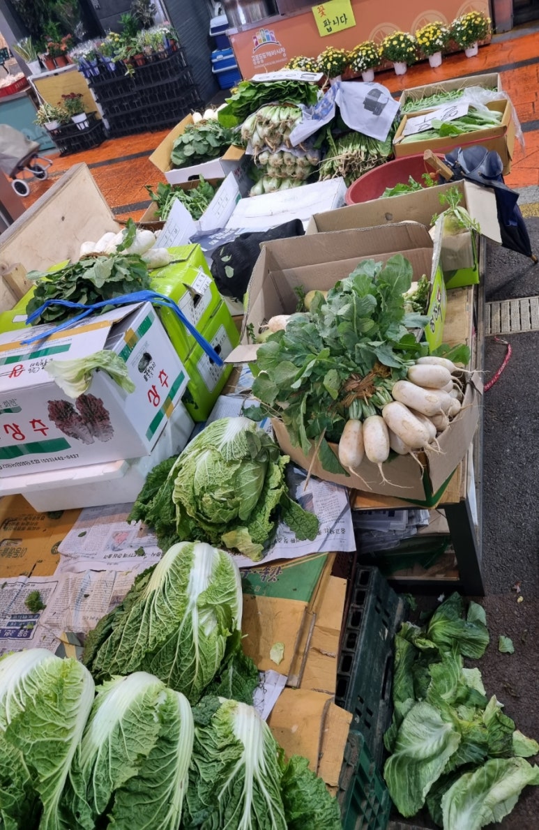 짬순네 이미지