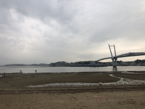 안면도힐링캠핑장 이미지