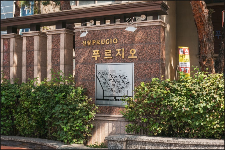 조이음악학원 이미지