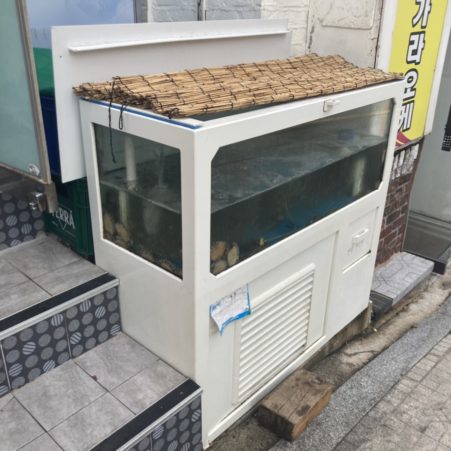바다마루 이미지