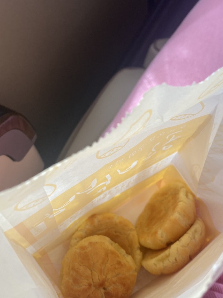 레보캠 이미지