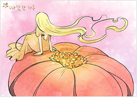 하루꽃 이미지