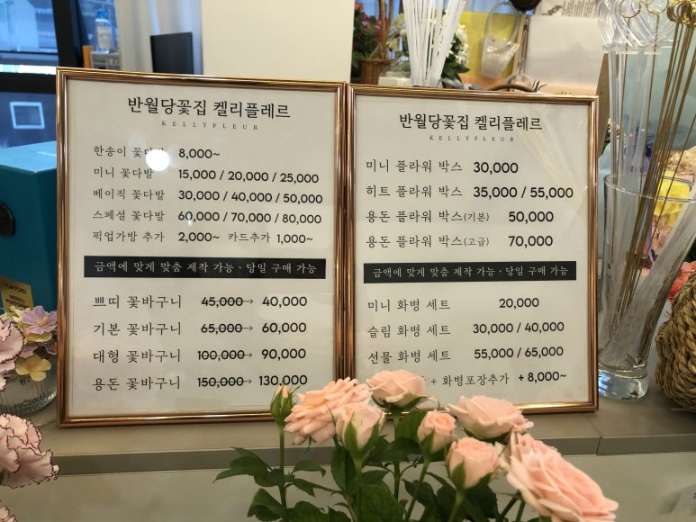 켈리플레르 이미지