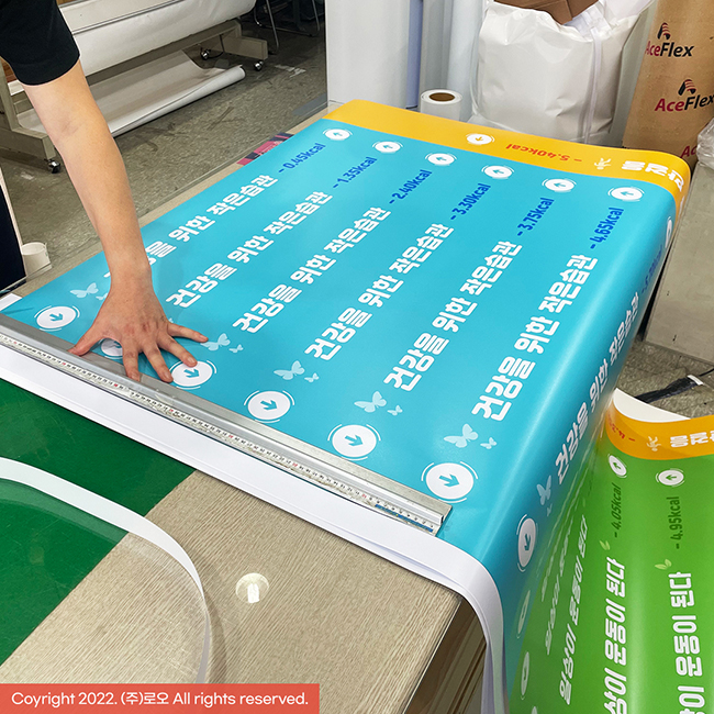 주식회사 로오 이미지