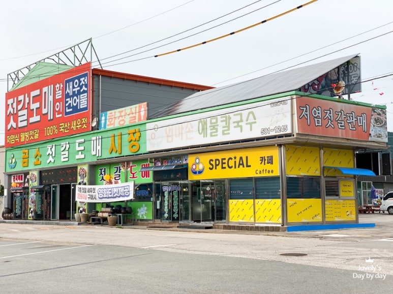 엄마손해물칼국수 이미지