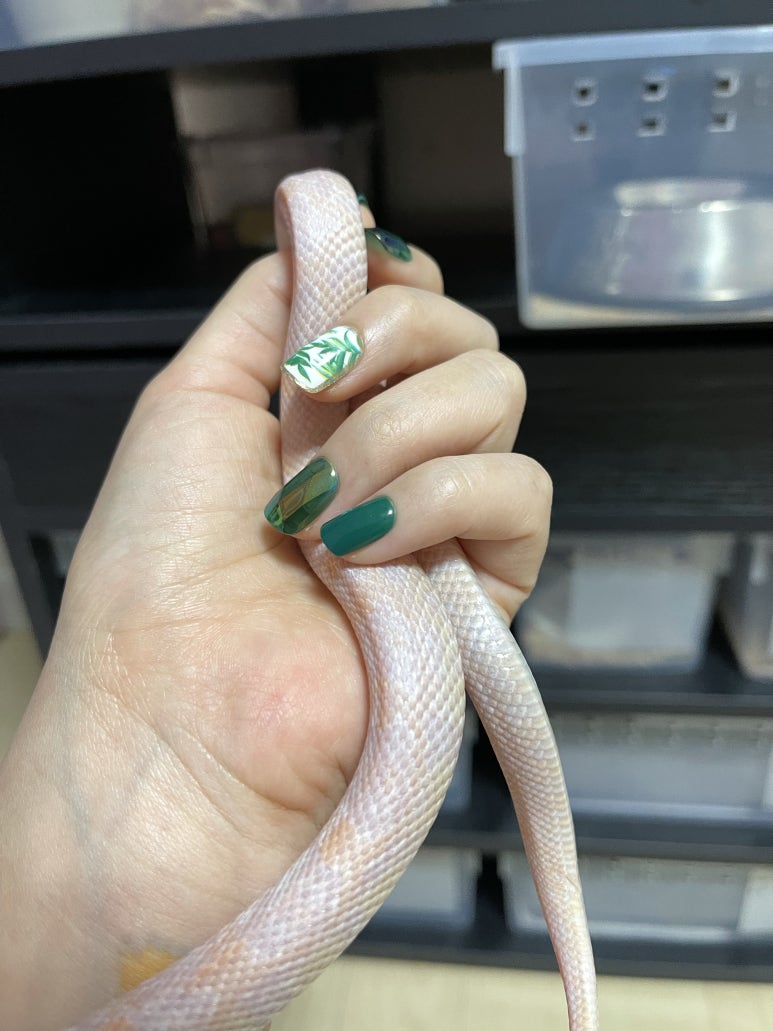 서산댁 이미지