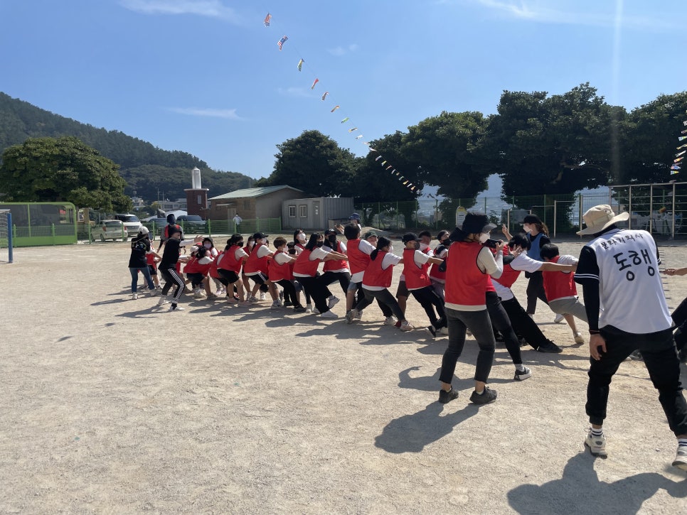 노화중앙초등학교 이미지