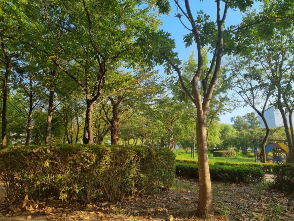 세무법인청명 이미지
