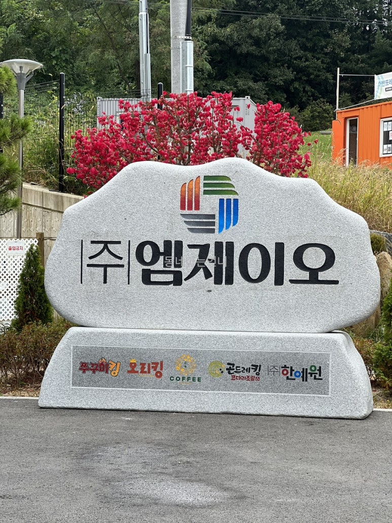 엠제이오 이미지