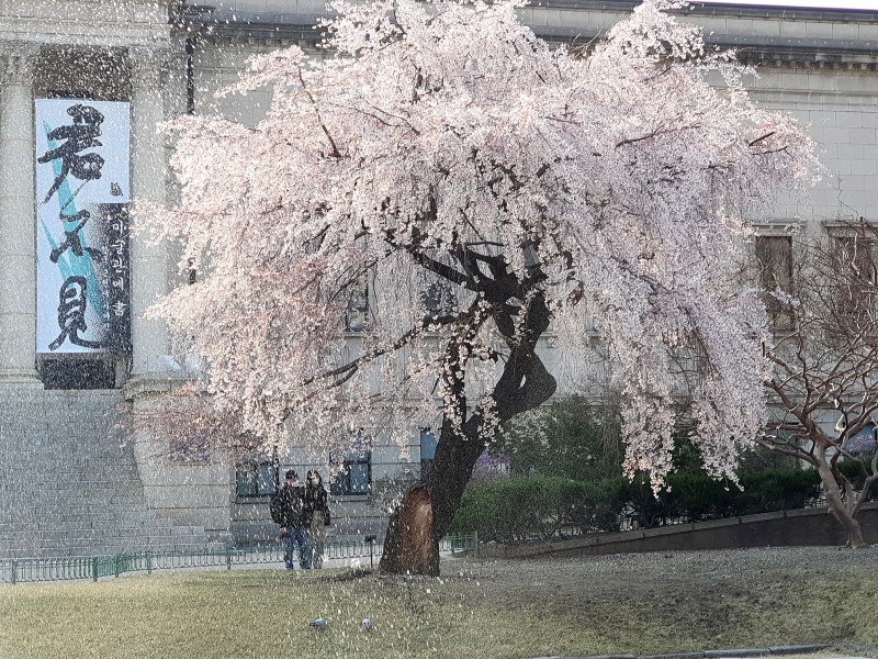 소중 문화사 이미지