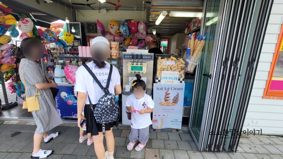 (주)삽교호놀이동산 이미지