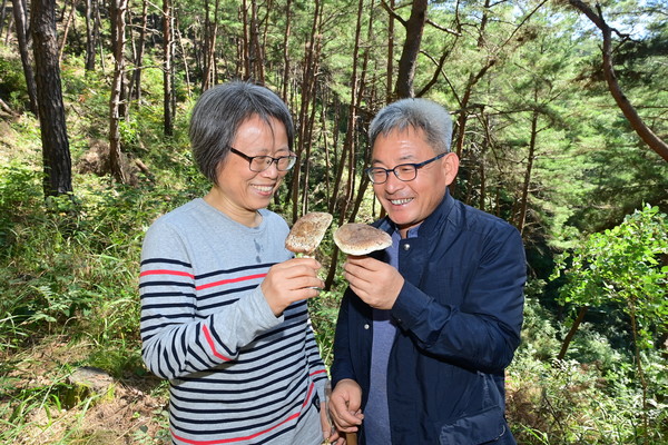 송이향 이미지