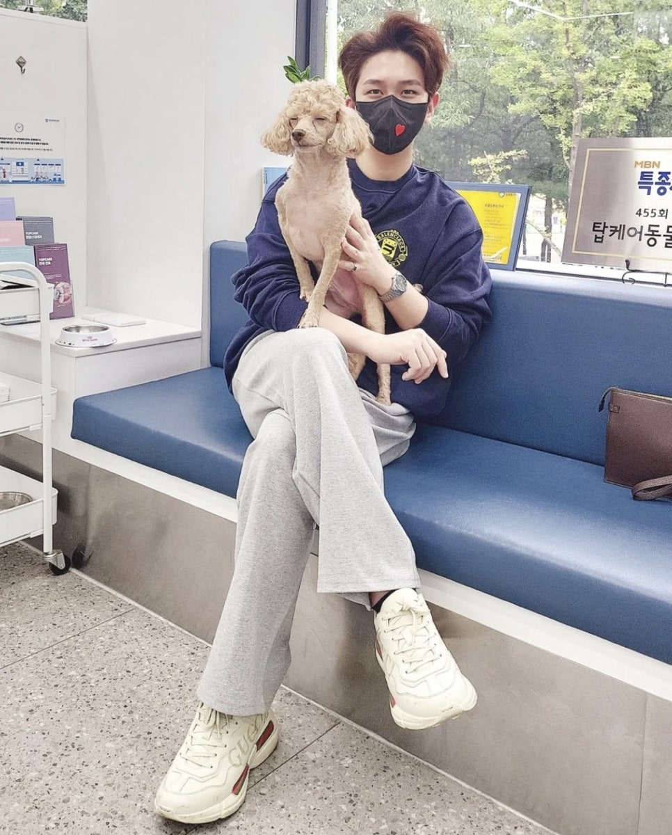 탑케어 이미지