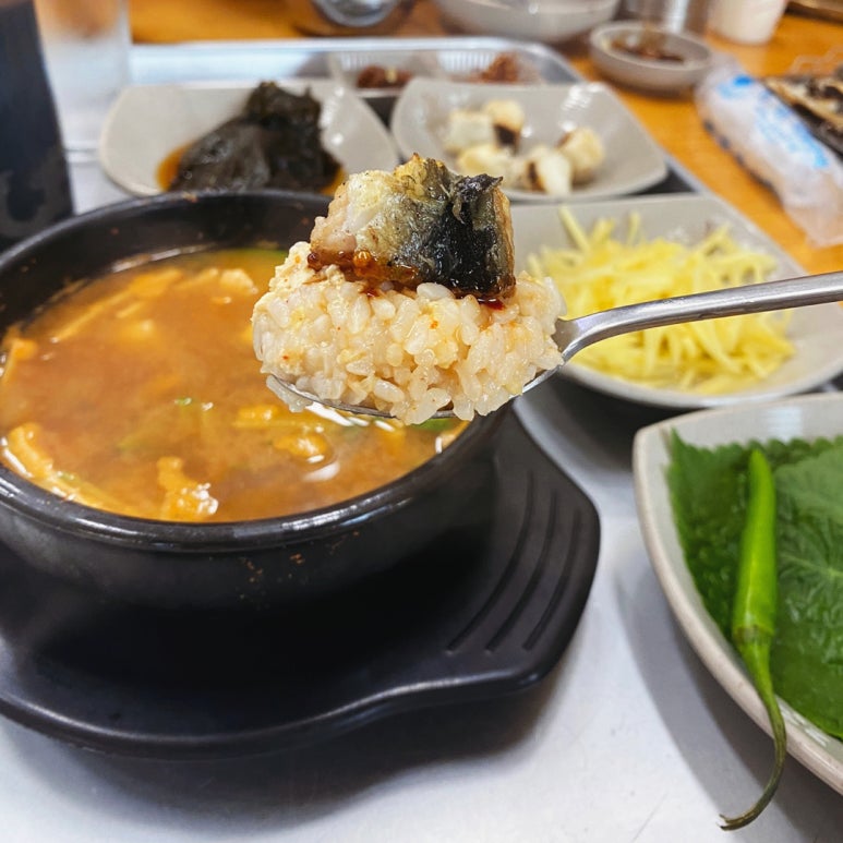 영광민물장어 이미지