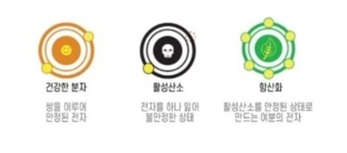 유나사 이미지